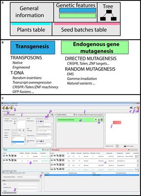 SeedUSoon: A New Software Program to Improve Seed Stock Management and Plant Line Exchanges between Research Laboratories